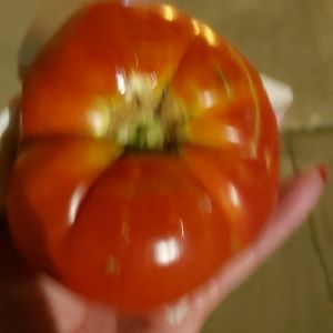 Meet your Posher, Kristyn